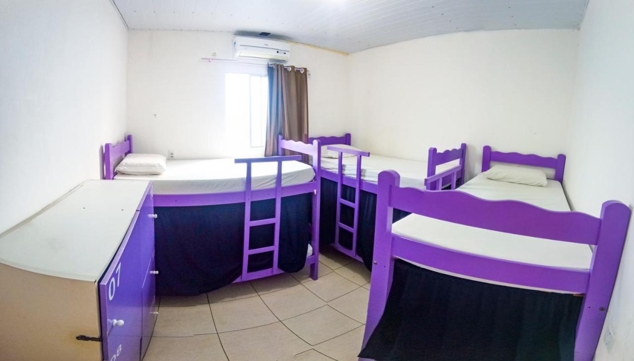 Bunk Bed Mixed Dormitory Room