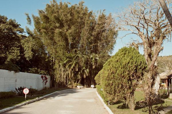 Two-Bedroom House,162084312:JPEG