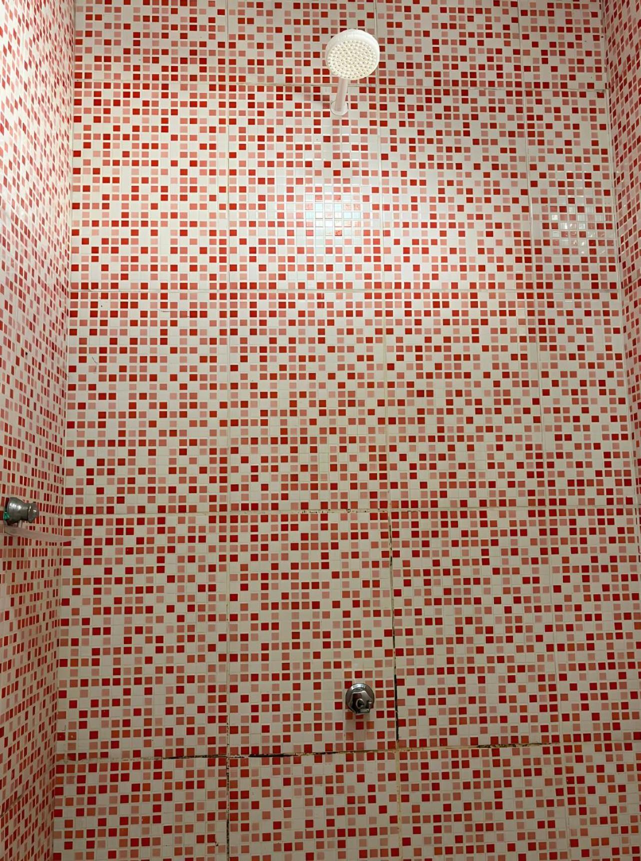 Family Room Bathroom