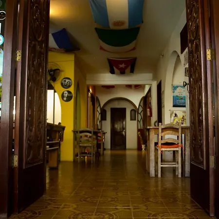 Geckos Hostel-3