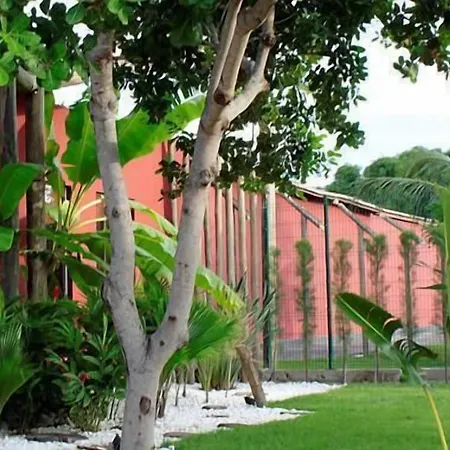Hipnose Motel (Adults Only)-2