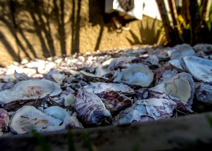 Pousada Porto do Arvoredo